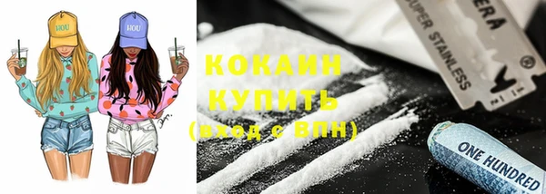 спайс Гусев