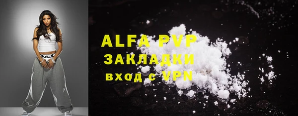 спайс Гусев