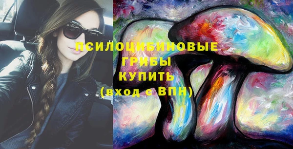 спайс Гусев