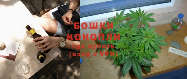 спайс Гусев
